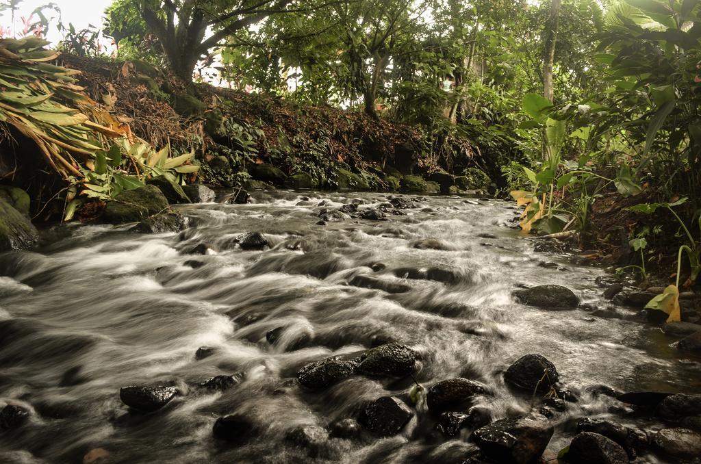 Hostel Rio Danta La Fortuna Екстер'єр фото